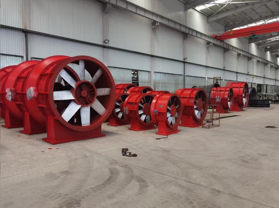 �͑�����